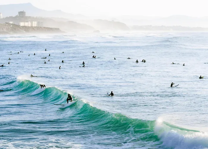 Apartment Little Bibi Terrace - Cote Des Basques And Private Garage *